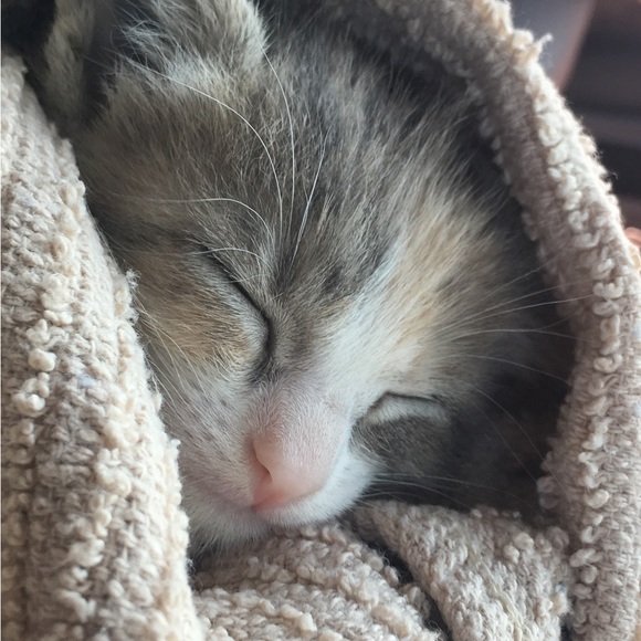 Meet your Posher, Maria - Picture 3 of 6